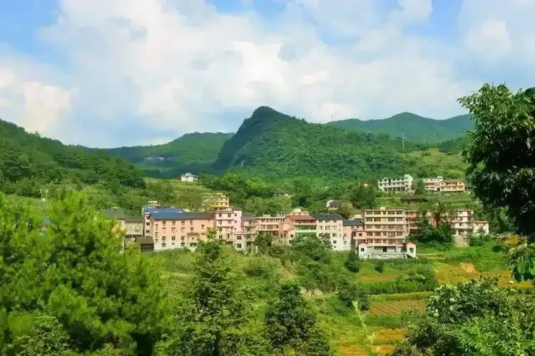 要问谁最会生活？还得看我大綦江的！