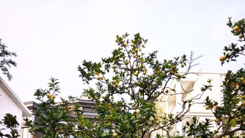 武夷山度假住在哪？保姆级住宿区域对比｜武夷山出行酒店攻略