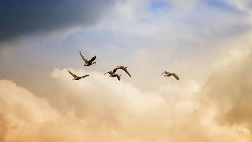 AWE的机器人狂热与家电零售困局