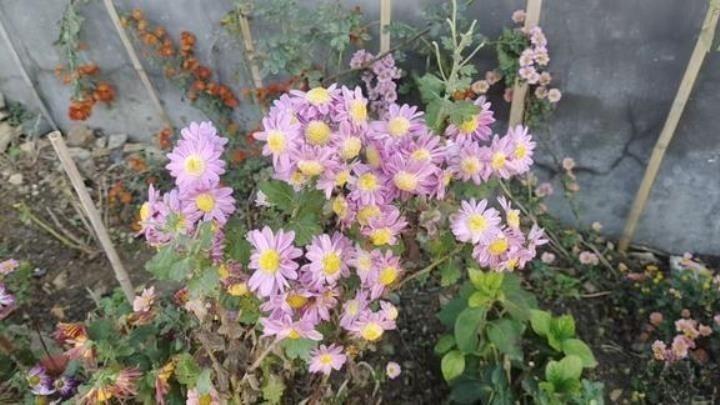 婆婆带孙子不是天经地义吗？