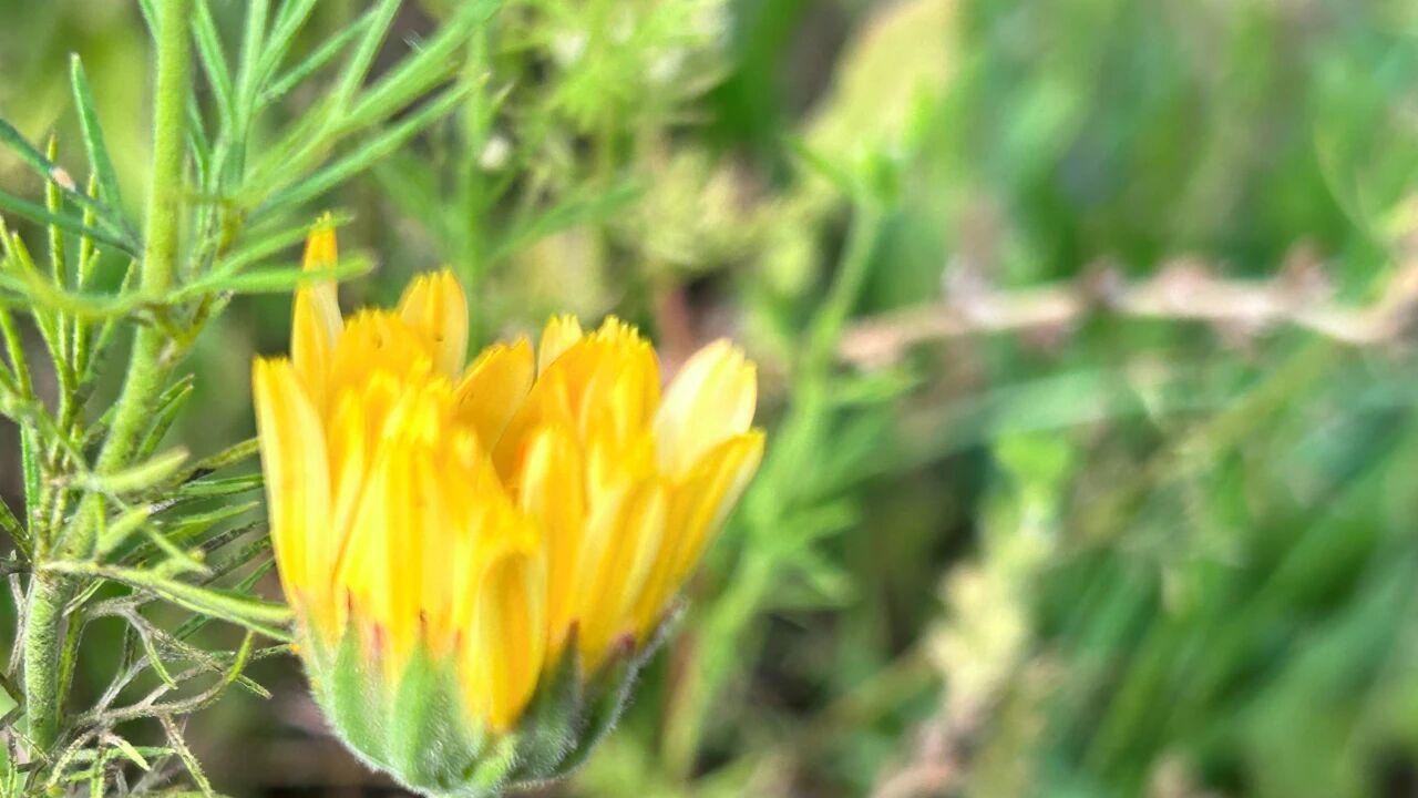 男人把你当爱人，还是当情人的区别：两个字