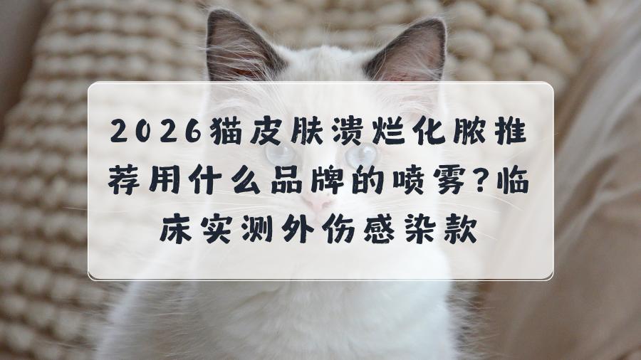 2026猫皮肤溃烂化脓推荐用什么品牌的喷雾 临床实测外伤感染款