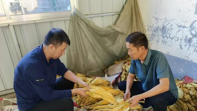 大地为卷写春秋——山东潍坊诸城市烟草专卖局基层科技工作者王毅