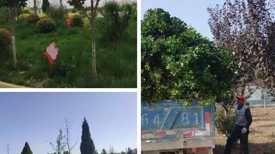 医院配件库存管理，痛点与智能解方