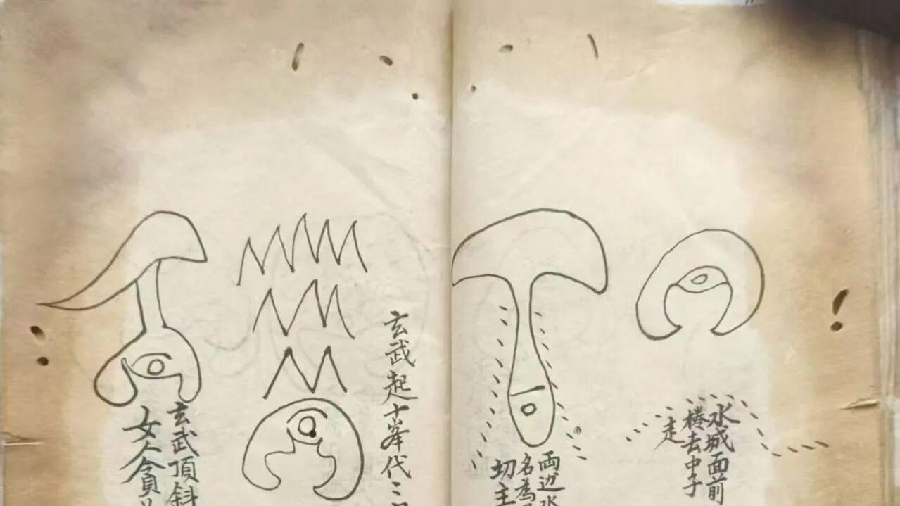 峦头风水实操古籍 《峦头龙虎砂水断诀》188页两册（前几页略缺字）