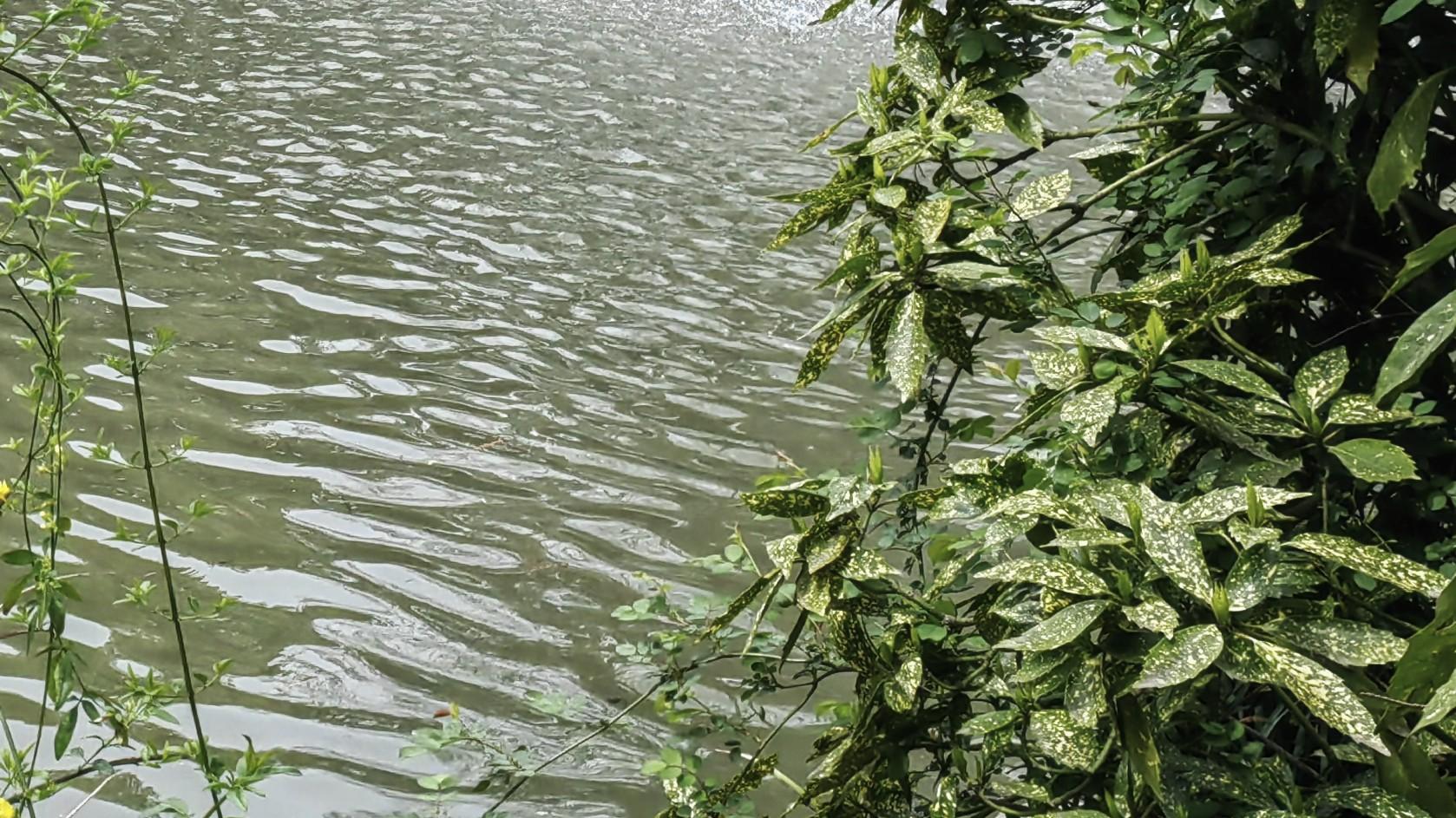 行走职场：旁观的定力，入局的勇气