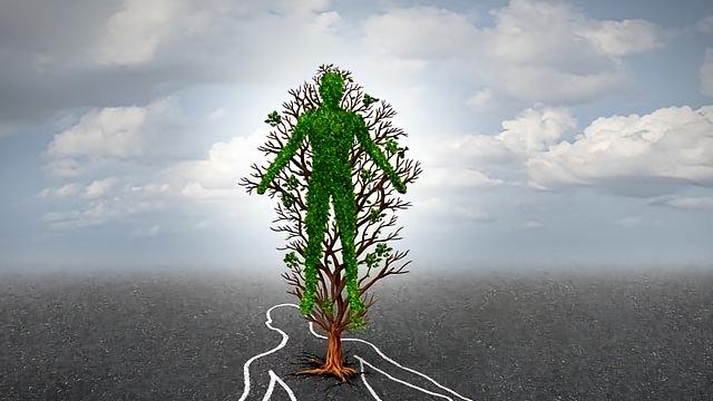 筑境产学研｜生命落幕之后全过程解密从躯体变化到物质终极归宿