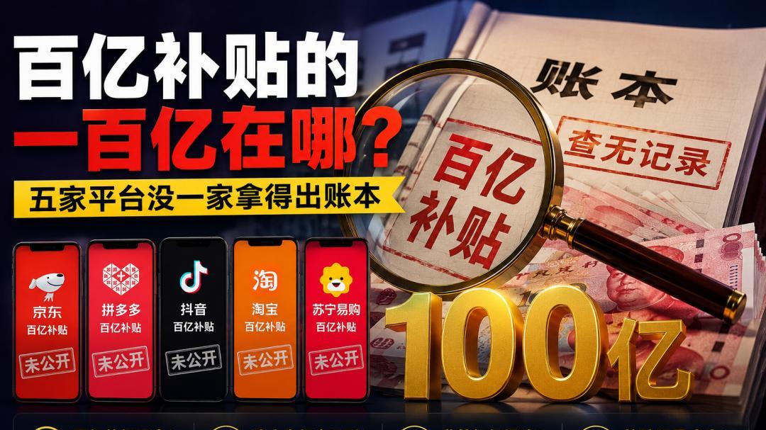 百亿补贴的一百亿在哪？五家平台没一家拿得出账本