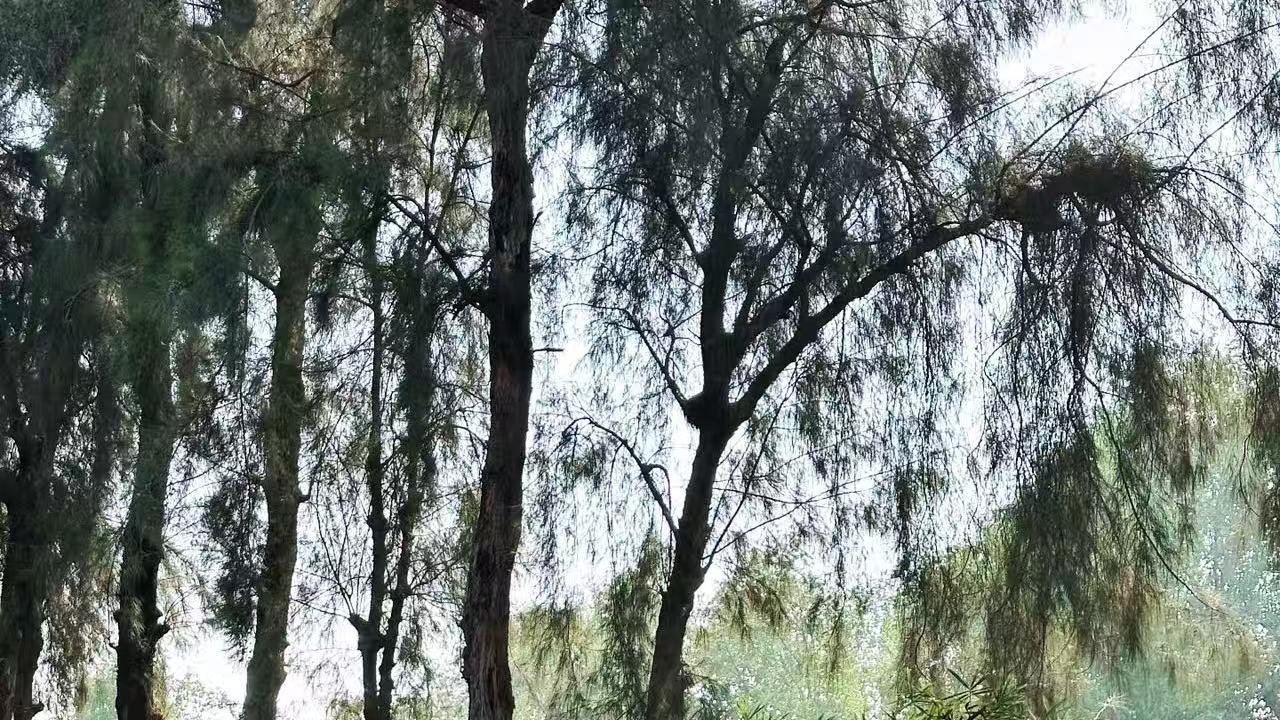 极氪9X和仰望U8，光看颜值你喜欢哪款？