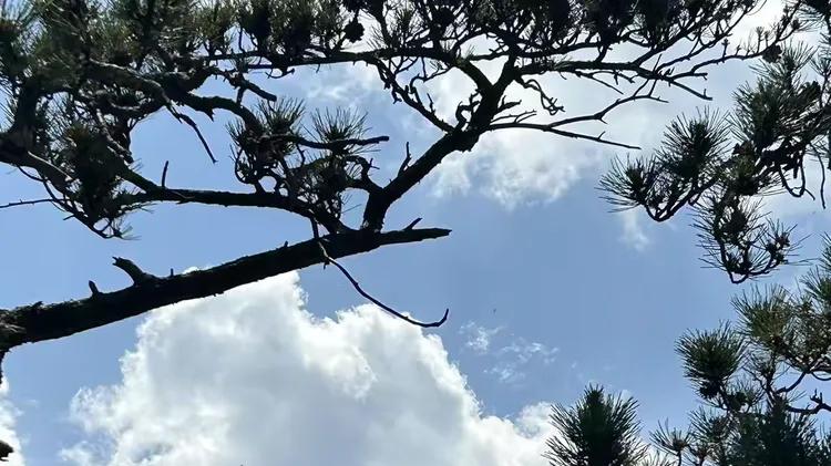 鲁山地名承载千年文脉，串联典故风华，解码伏牛东麓厚重历史