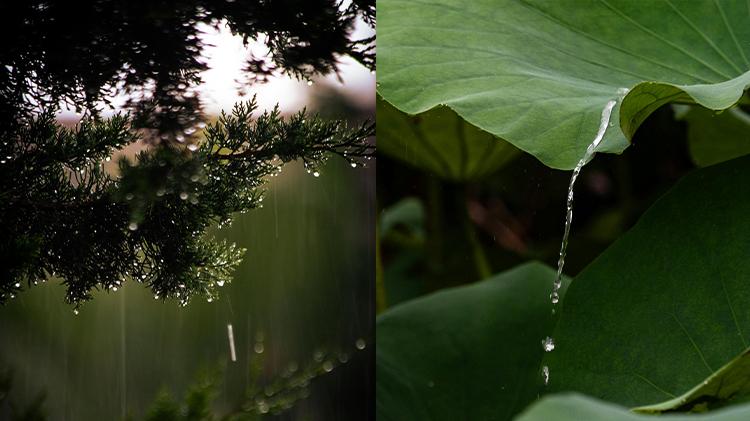雨天拍照怎么拍｜小白也能秒出片