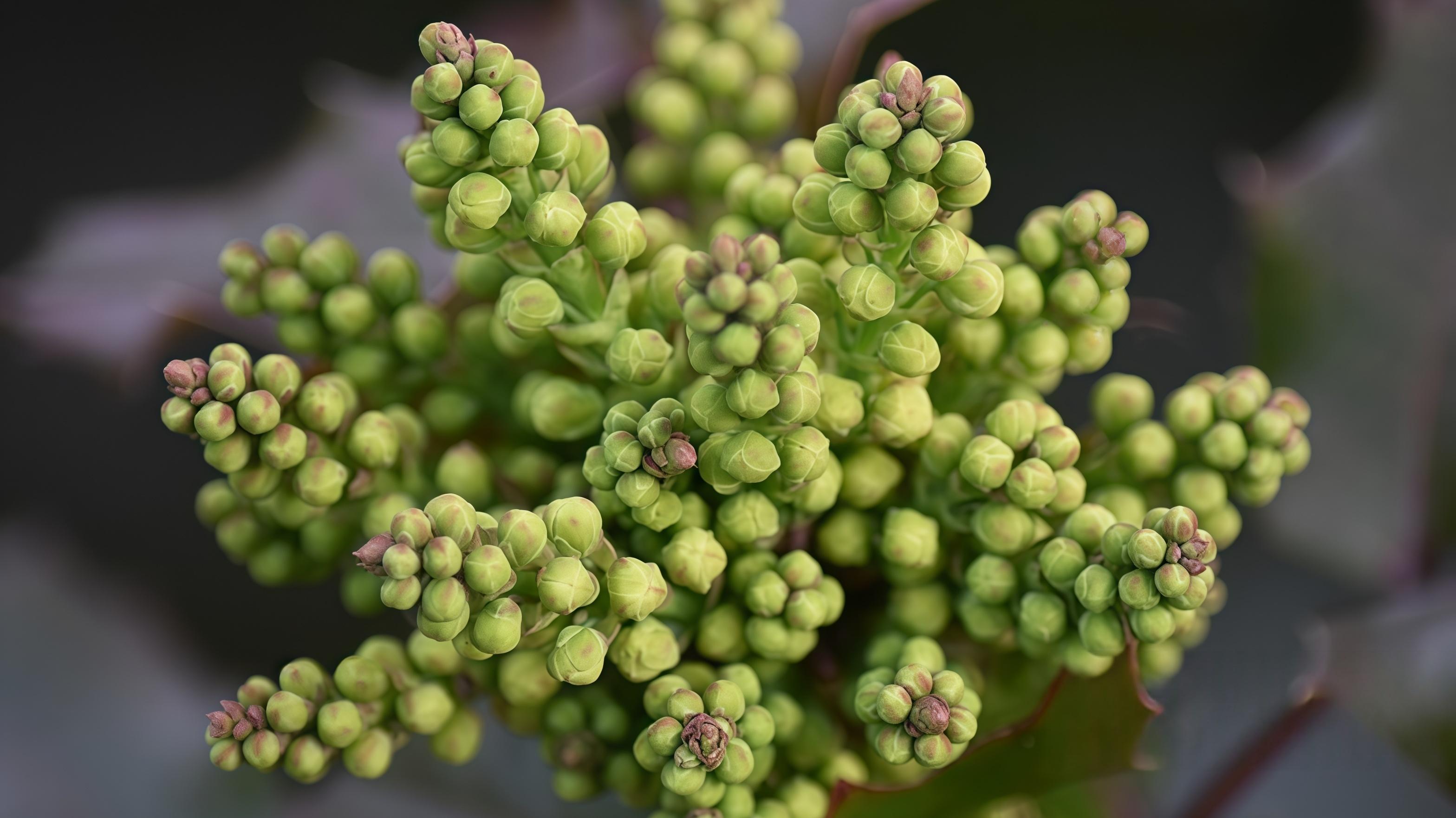 聪明钱不追风口，先给自己买把“伞”