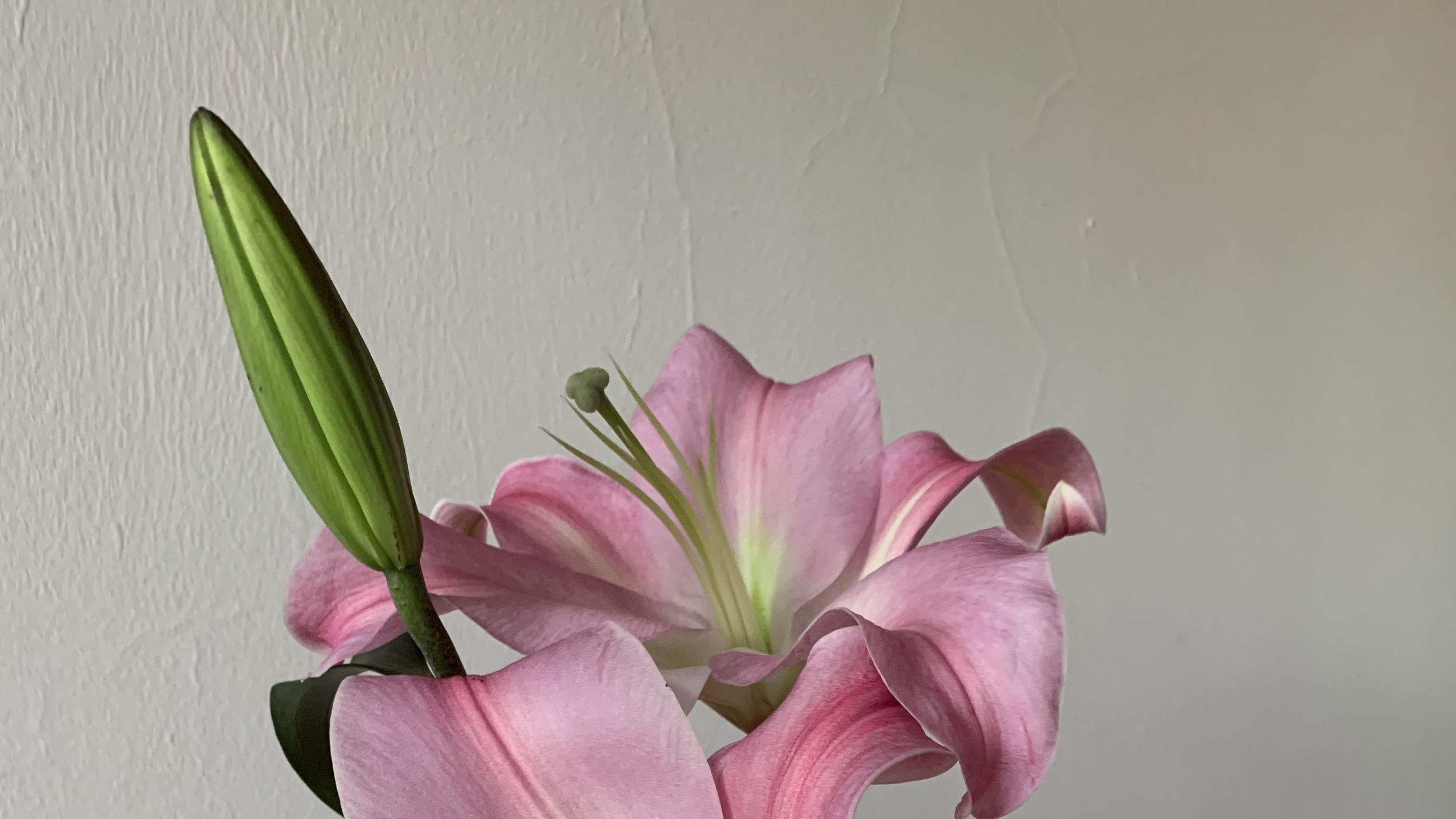 易做错事的姓名笔画