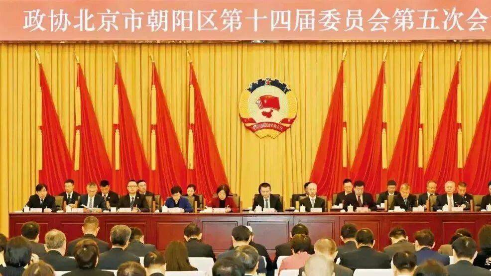 著名书画家陈忠洲院长出席政协北京市朝阳区第十四届委员会第五次会议