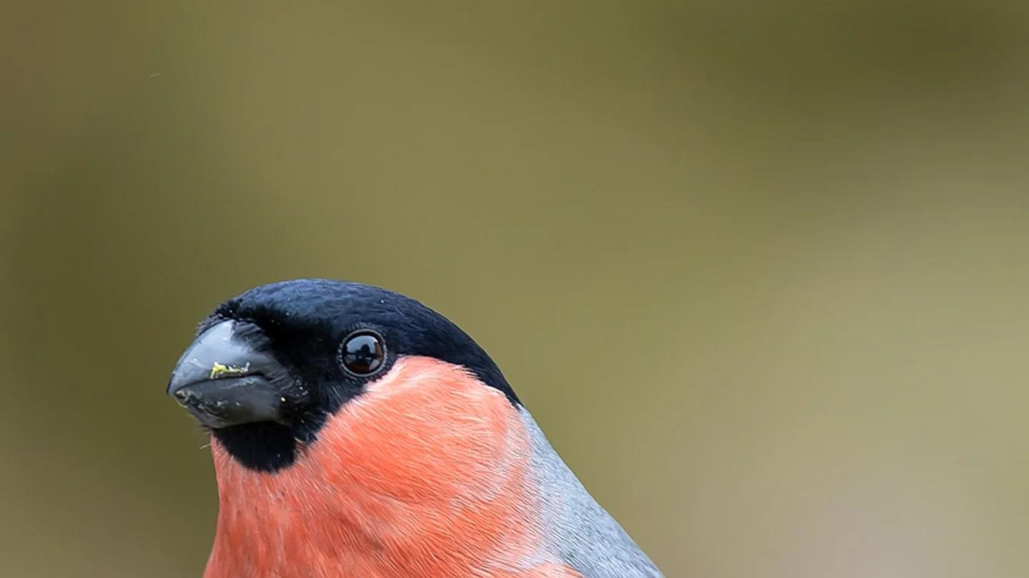 访谈心理学家：她允许孩子自由看屏幕，真相颠覆多数家长认知