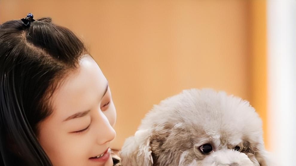 2026赚钱风口！“萌宠寄养师”悄悄撑起230亿市场，普通人也能做