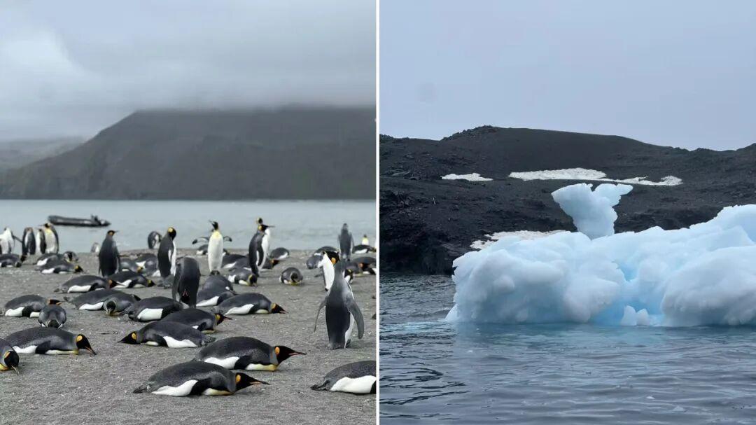 10万南极游行李消失：Atlas邮轮摆烂、企鹅环游隐身