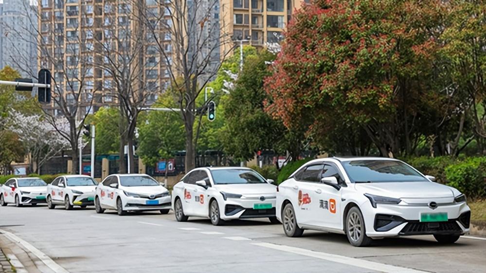 滴滴在多地推出赏花出行6折起优惠 助力用户轻松春游