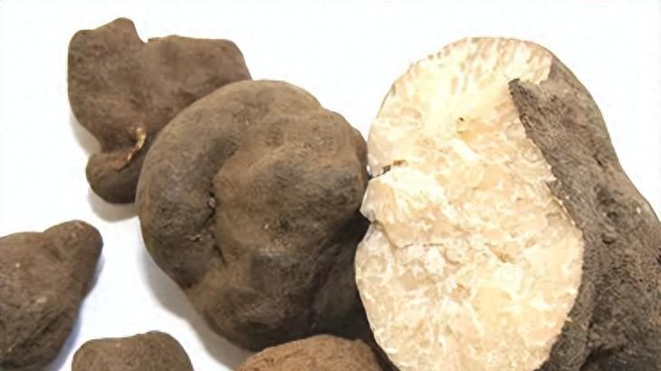 不只是驱虫药那么简单——雷丸