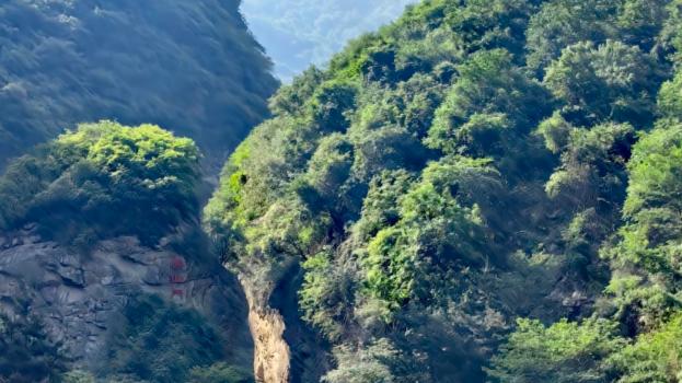 红河谷：梯田叠镜，蝶舞千年的立体长卷