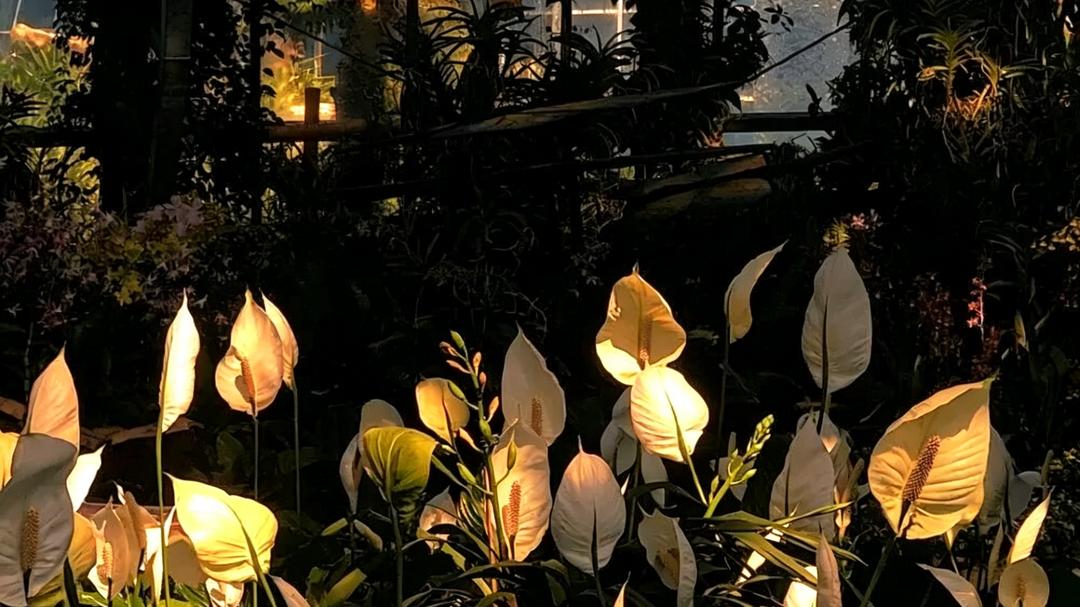 真正入心的人，才会一生放不下