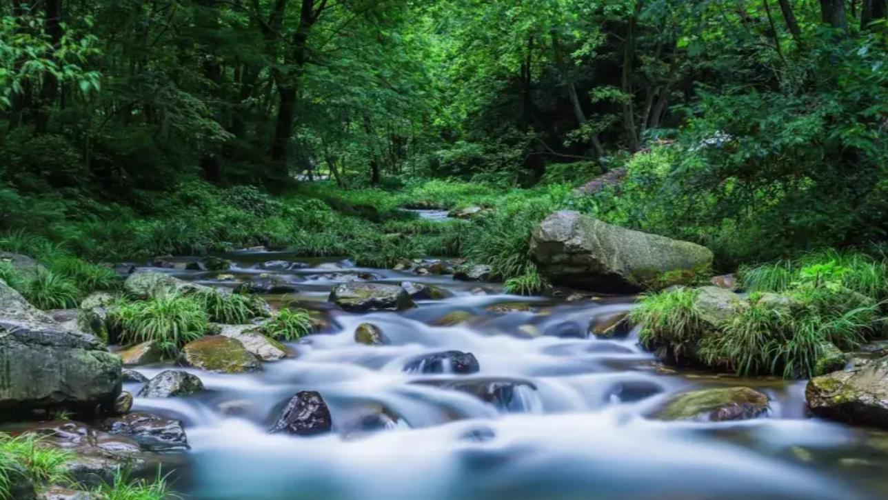 职场避坑：别让“无效社交”，消耗你的成长底气