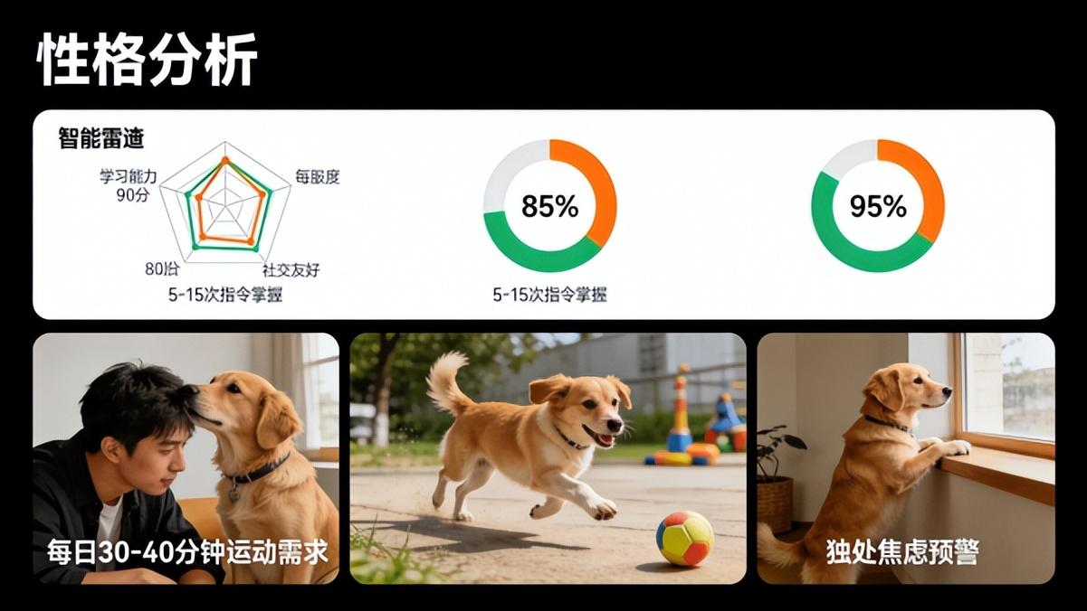 蝴蝶犬全解析：从宫廷珍宝到家庭暖宠