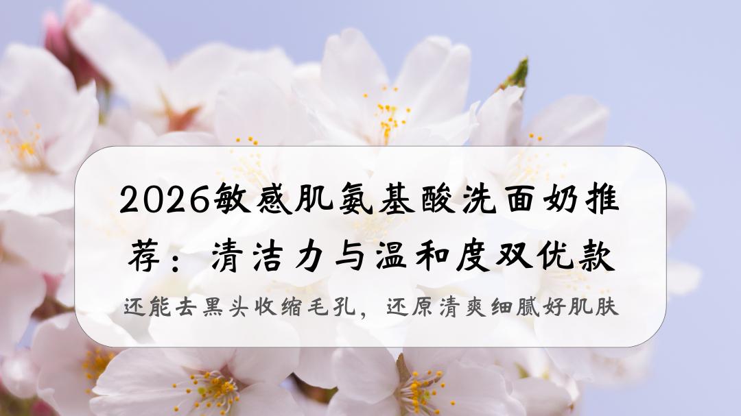 2026敏感肌氨基酸洗面奶推荐：清洁力与温和度双优款，还能去黑头收缩毛孔，还原清爽细腻好肌肤