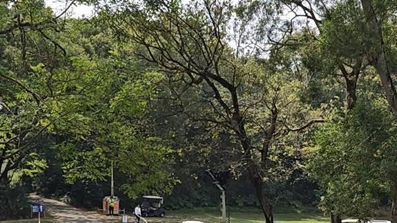 极氪009制霸LIV高尔夫现场，香港富豪圈已经“沦陷”