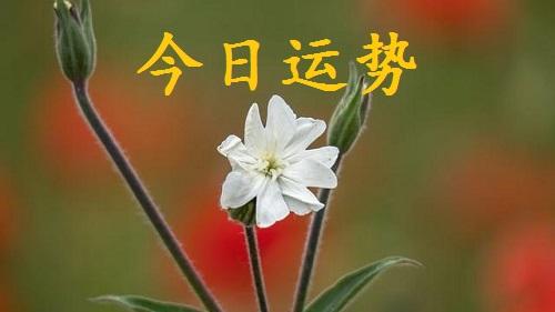 今日运势：7月11号（星期六），日干与财运