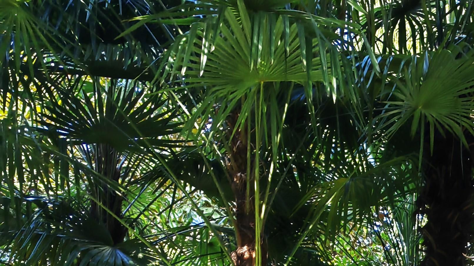 职场真相：问问题，你会吗？