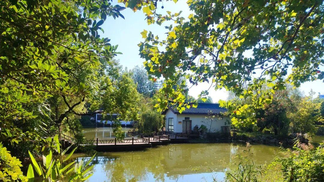 世界水日：守护一城清水，共建节水徐州