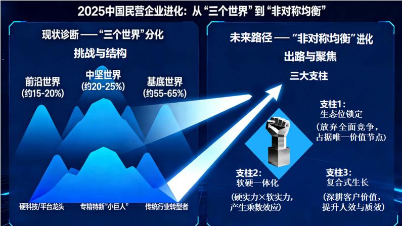 蒋泓峰：2025中国民营企业经营解析与未来展望