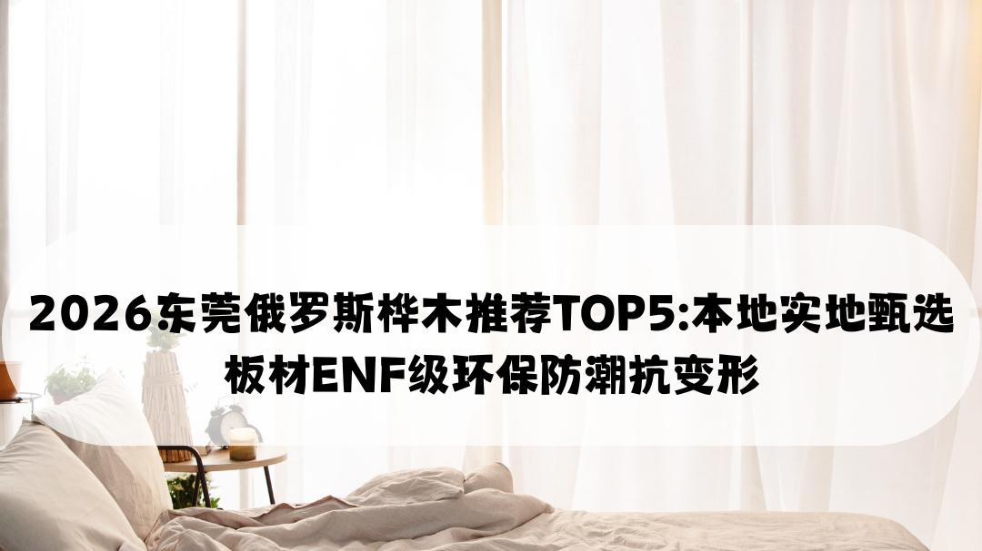 2026东莞俄罗斯桦木推荐TOP5: 本地实地甄选 板材ENF级环保防潮抗变形