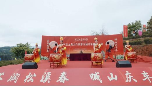 福建松溪县举办第五届九龙大白茶开采喊山活动