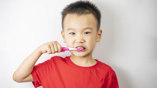 宝宝刷牙选电动还是手动？家长别纠结，核心答案就这几点