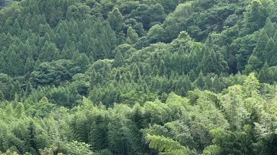 极氪001老车主碎碎念
