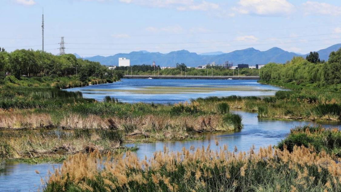 等了二十年，潮白河终于“活”过来了｜通州街坊实测补水现场