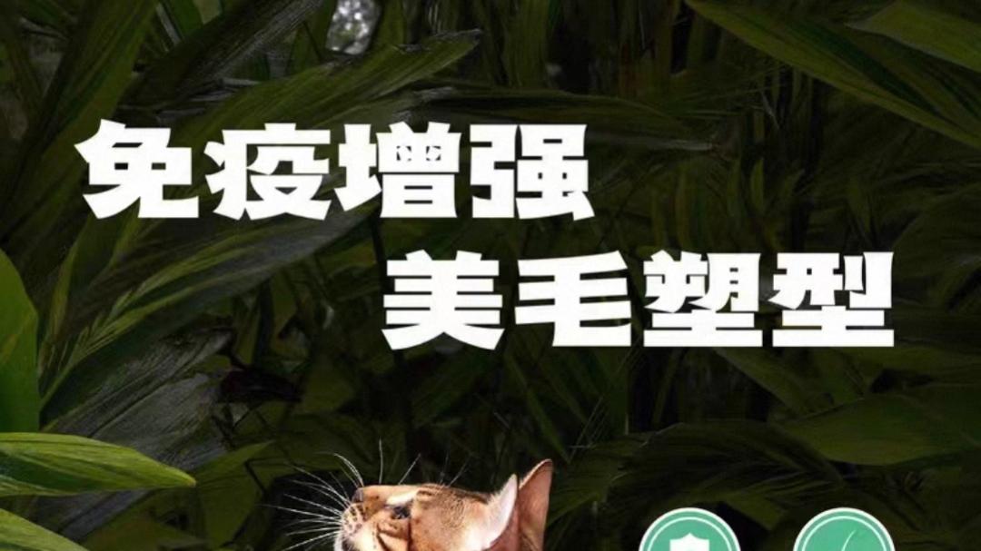 什么样的猫粮才是好猫粮？2026好用的猫粮排行榜前十名