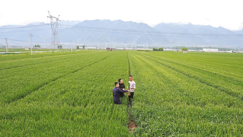 人保财险渭南市分公司：以保险之力守护人民美好生活