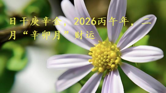 2026丙午年，二月“辛卯月”财运