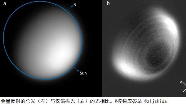 金星上空竟藏巨型同心环？16年旧数据引爆大气科学争议