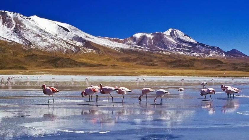 亚古数据：查询玻利维亚公司可以获取什么信息？