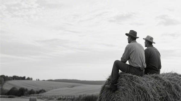 小说评介｜《夏日农夫》：被糟心的琐事毁掉的周末