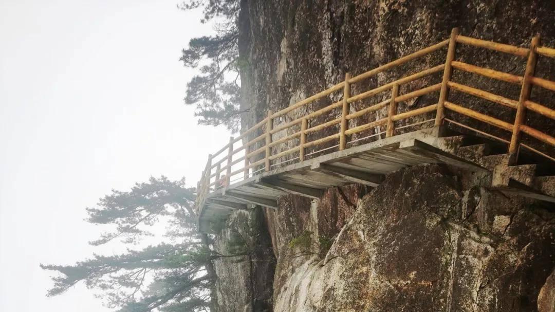不负青云圣境，留住明月山魂——周波《穿星月幽境，步青云仙踪》品读