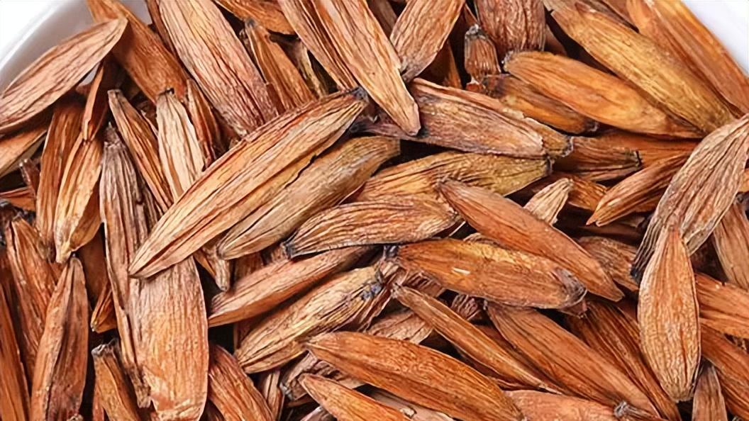 大自然的抗癌先锋——喜树果