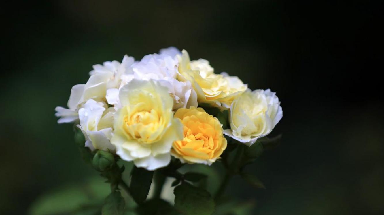 中年女人的惨痛教训：女人终其一生，一定要拥有一件东西