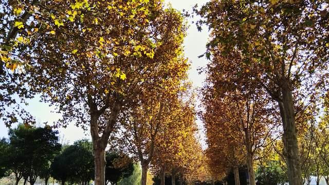 家长如果帮不了孩子，也不要瞎操心帮倒忙，养育孩子更是养育自己