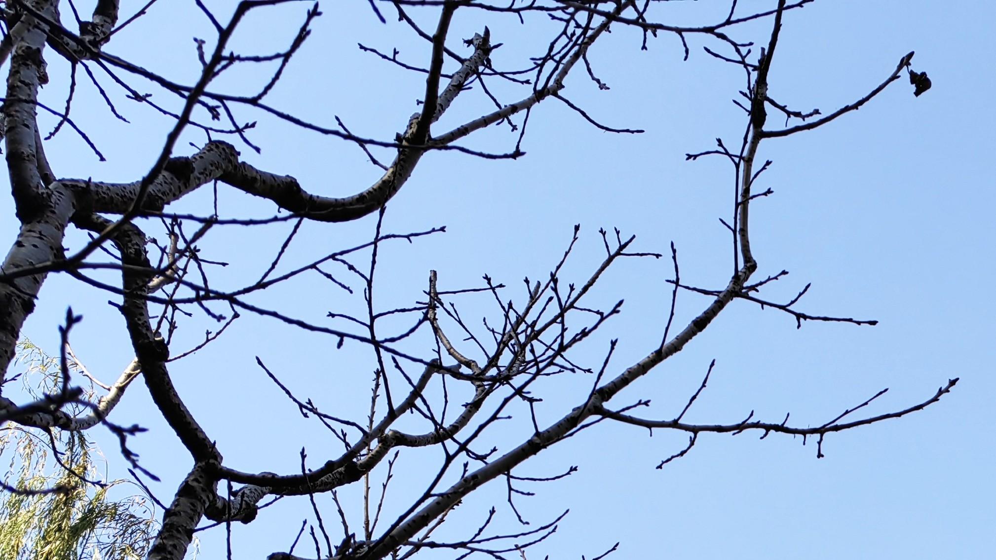 职场开局：先难，还是先易？