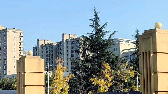 政法保研“黑马”：西北政法大学，凭什么成为名校收割机？